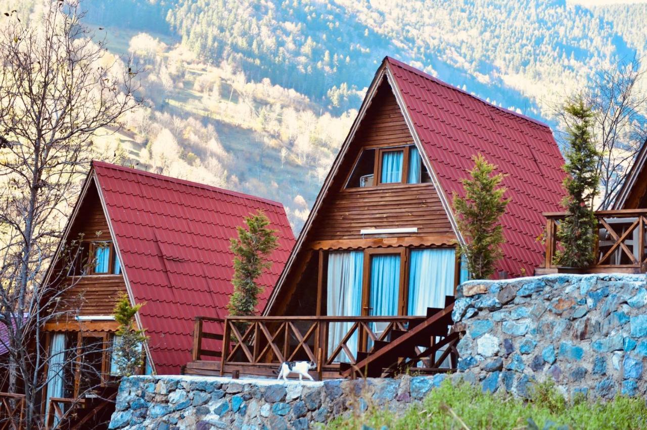 The Wooden House Uzungoel Uzungol Exterior photo