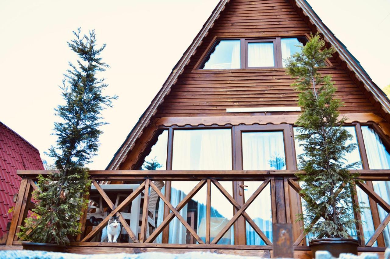 The Wooden House Uzungoel Uzungol Exterior photo